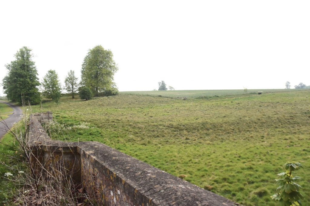 Hackwood Park, near Old Basing in Hampshire.  I am near the north-east corner of the estate. Was this the site of the 871 Battle of Basing?